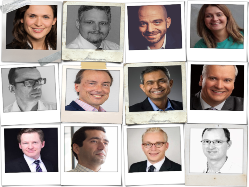 The authors are project management experts